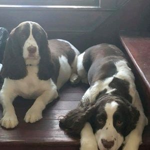 Meet your Posher, Sam